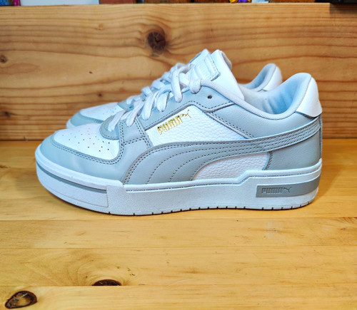 Puma caracal white grey - caracal, white/grey
