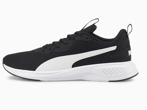 Puma mens incinerate - puma,